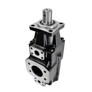 High performance pin type double vane pump T6GCC-B28-B03/B05/B06/B08/B10/B12/B14/B17/B20/B22/B25/B28/B31-6R00-B100 DENISON