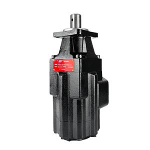 High performance pin type double vane pump T6GCC-B28-B03/B05/B06/B08/B10/B12/B14/B17/B20/B22/B25/B28/B31-6R00-B100 DENISON