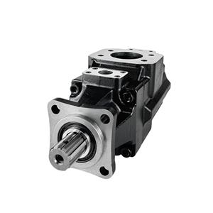 High performance pin type double vane pump T6GCC-B28-B03/B05/B06/B08/B10/B12/B14/B17/B20/B22/B25/B28/B31-6R00-B100 DENISON