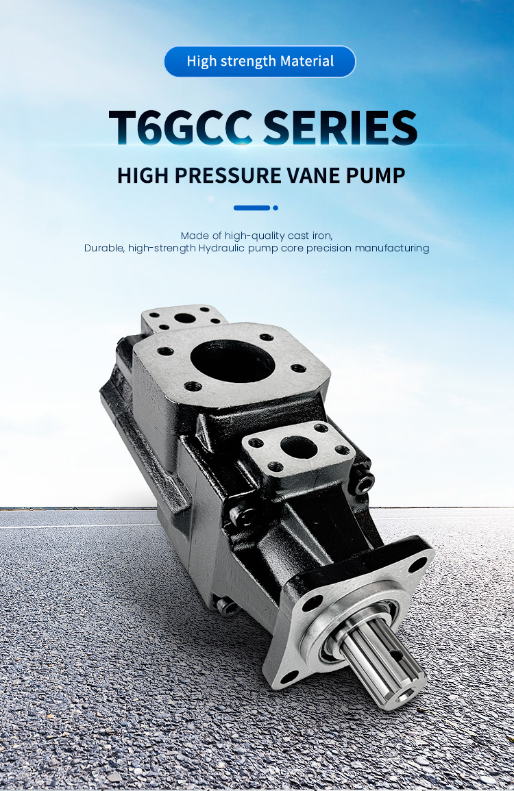 High performance pin type double vane pump