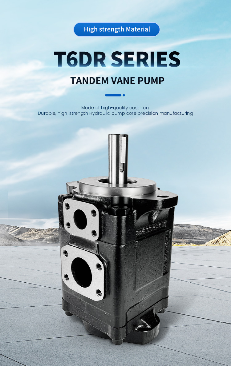 Parker Dennison Tandem Pump