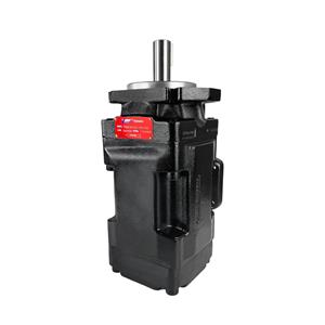 hydraulic vane double pump T7DDS-B14/B17/B20/B22/B24/B28/B31/B35/B38/B42-B20-1R02 A100 replaces denison hydraulic pump
