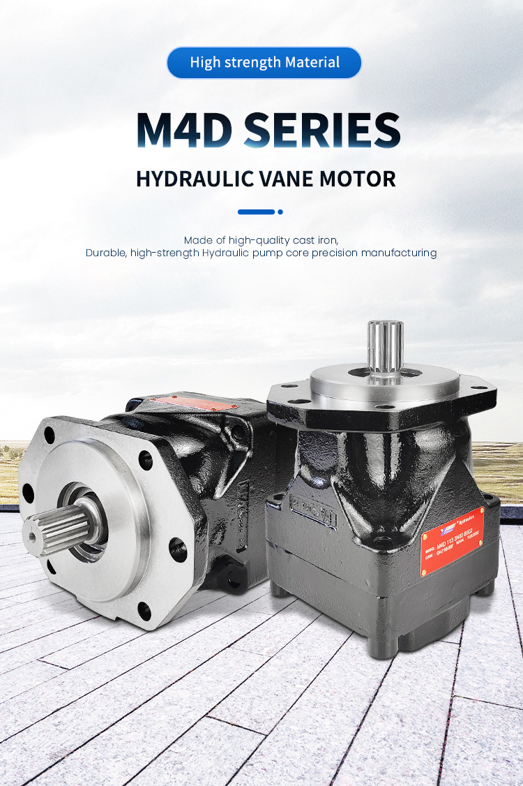 Denison type VELJAN type high pressure motor