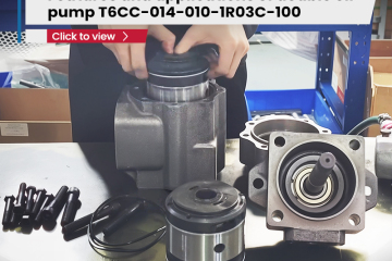Features and applications of double oil pump T6CC-014-010-1R03C-100