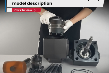 PV2R13-14-116-RAAA-4326 double pump model description