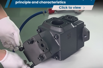 PV2R12-17-47-F-REAA-43 double vane pump principle and characteristics