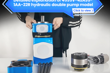 Detailed explanation of 4535V-42A35-1AA-22R hydraulic double pump model