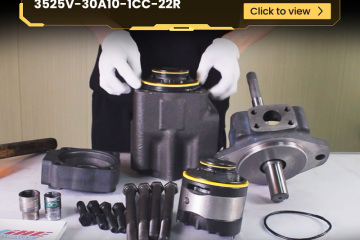 Model Description of Double Hydraulic Pump 3525V-30A10-1CC-22R