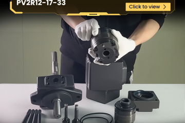 Parameter analysis of double vane pump PV2R12-17-33