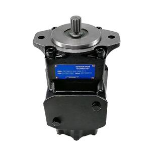 Hydraulic Double Vane Pump T6CC-022-017-2R00 - Compatible with Parker Denison T6CC, for Construction Machinery & Injection Molding in SEA
