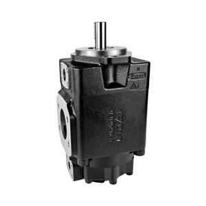 Denison T7BBS B10 B09 4R00 A1M1 Double Vane Pump | 10+9 GPM | SAE Mount | Right Rotation