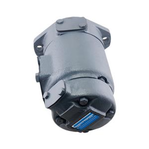 SQP21-19-7-86AA Double Vane Pump | 100% Tokimec Compatible | YHDE