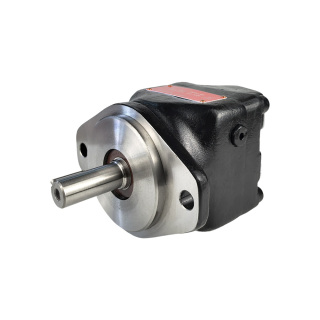 M1C-052-1N02-A102 Vane Motor | Denison Parker Replacement | YHDE