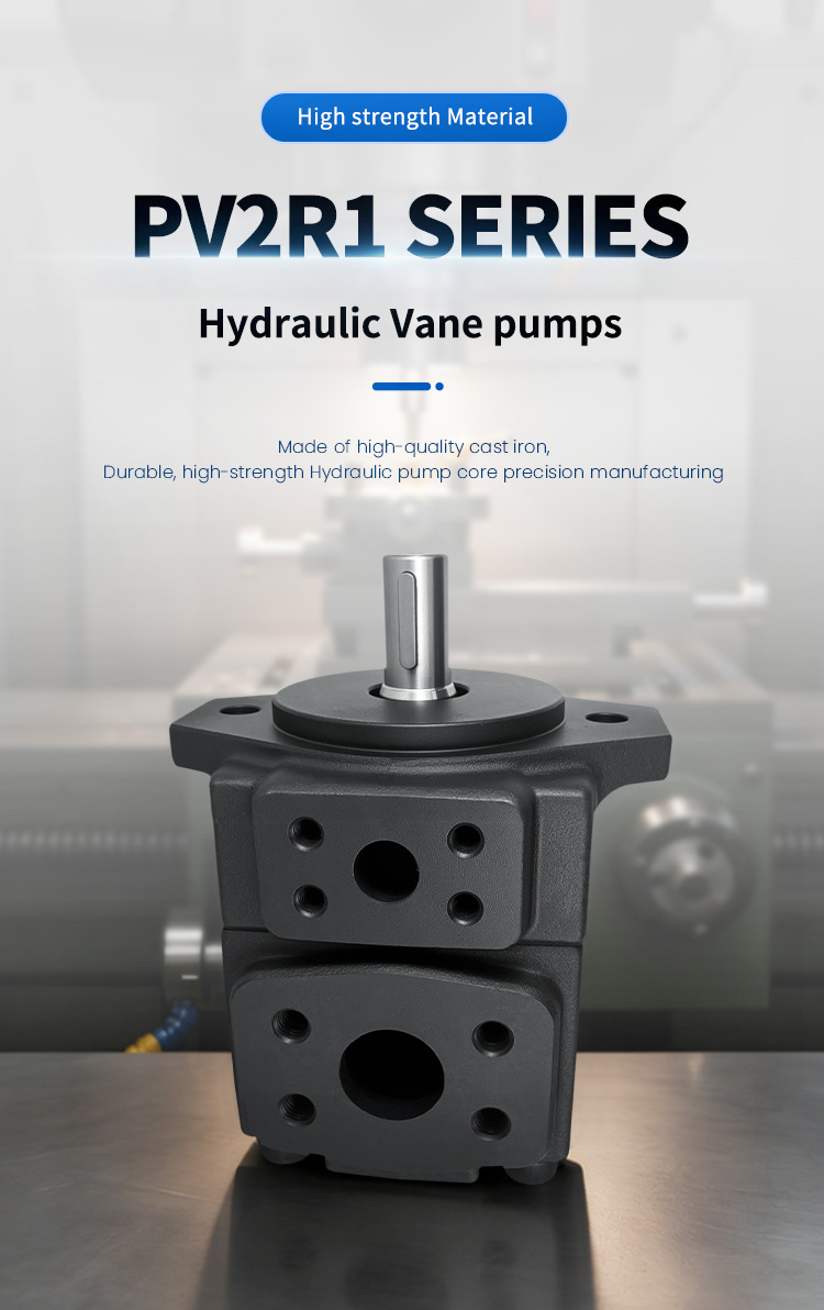 PV2R1-31-F-RAA-41 vane pump PV2R1-31-F-RAA-41 vane pump