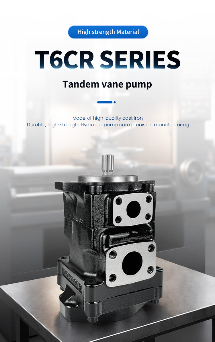 Rear drive vane pump