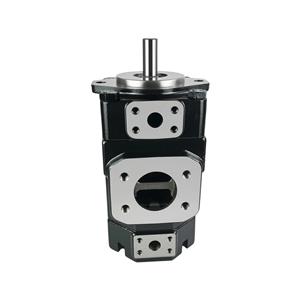 T7QCC1-012-005-1R01-B1W1 Double Vane Pump | Cast Iron High Pressure | YHDE
