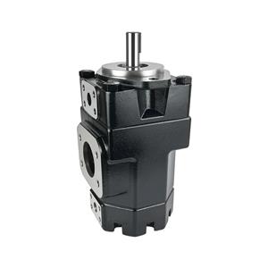 T7QCC1-012-005-1R01-B1W1 Double Vane Pump | Cast Iron High Pressure | YHDE