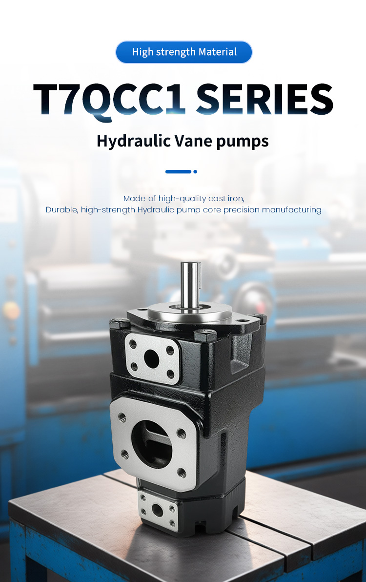 Ultra-quiet high pressure double pump Ultra-quiet high pressure double pump