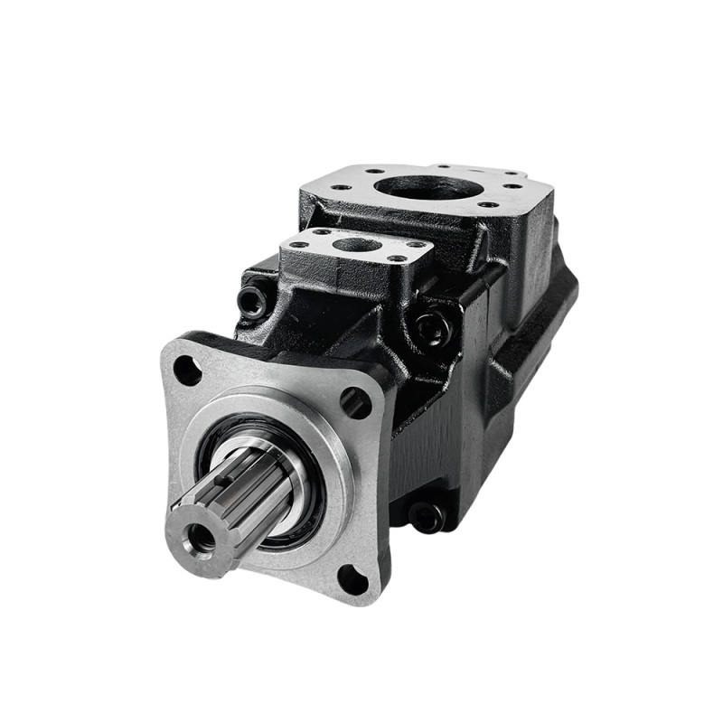 T6GCC-B08-B20-6R00-B110 Double Vane Pump | 100% Denison Compatible | YHDE