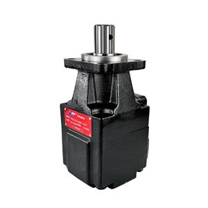 T6GC-B28-6R00-A100 Vane Pump | 100% Denison Parker Compatible | YHDE