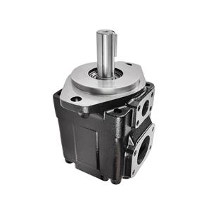 T7DS E28 1R00 A1M0 Vane Pump | High Pressure Servo Hydraulic Pump | YHDE