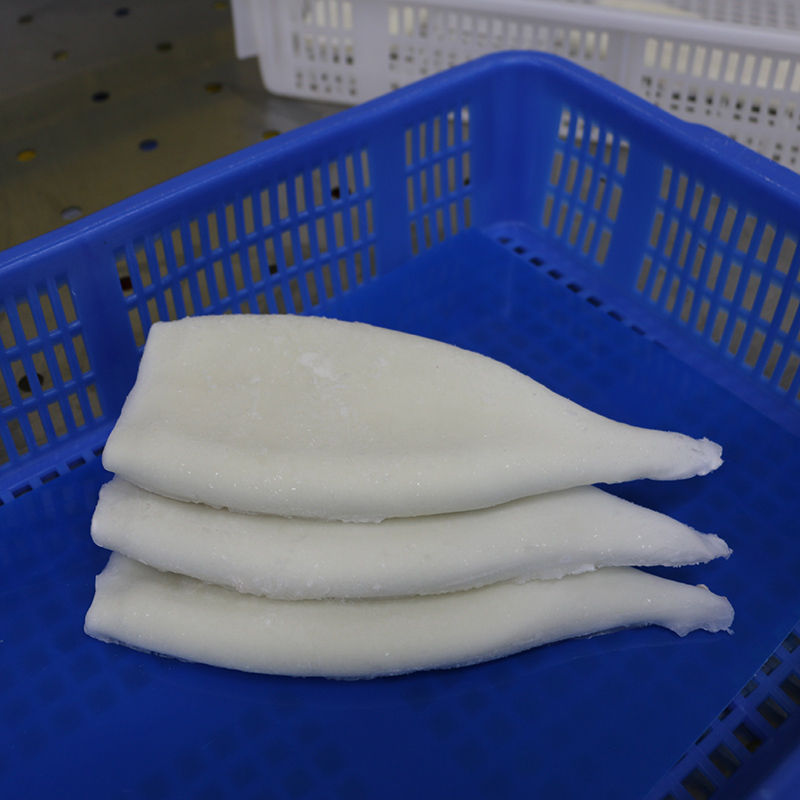 semi finished frozen squid