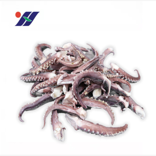 High Quality Frozen Squid tentacle