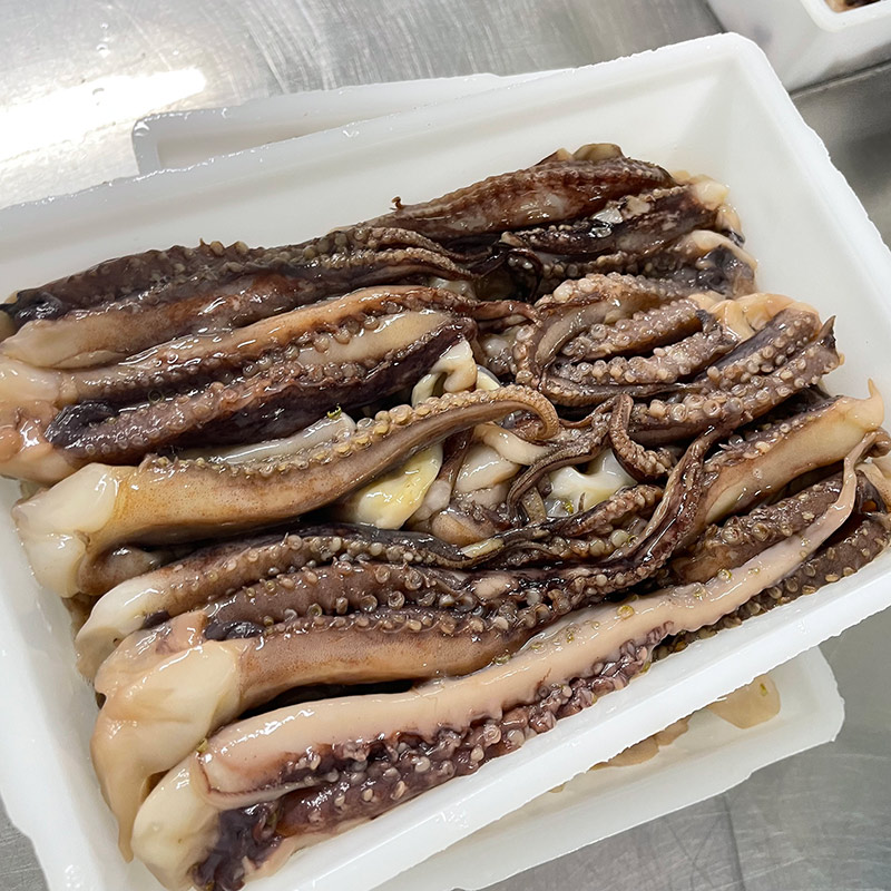 raw squid tentacles