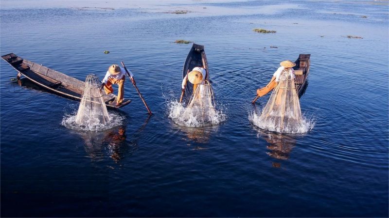 The continued development of the frozen seafood market