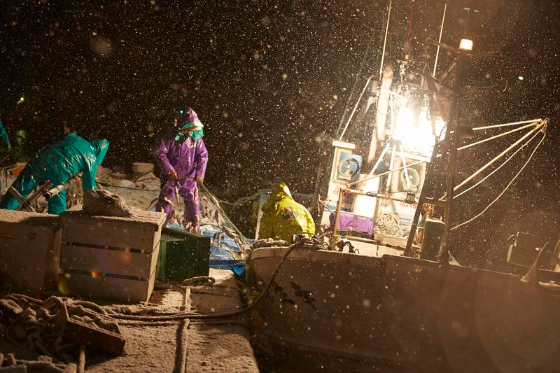 How Much Do You Know About Squid Fishing?