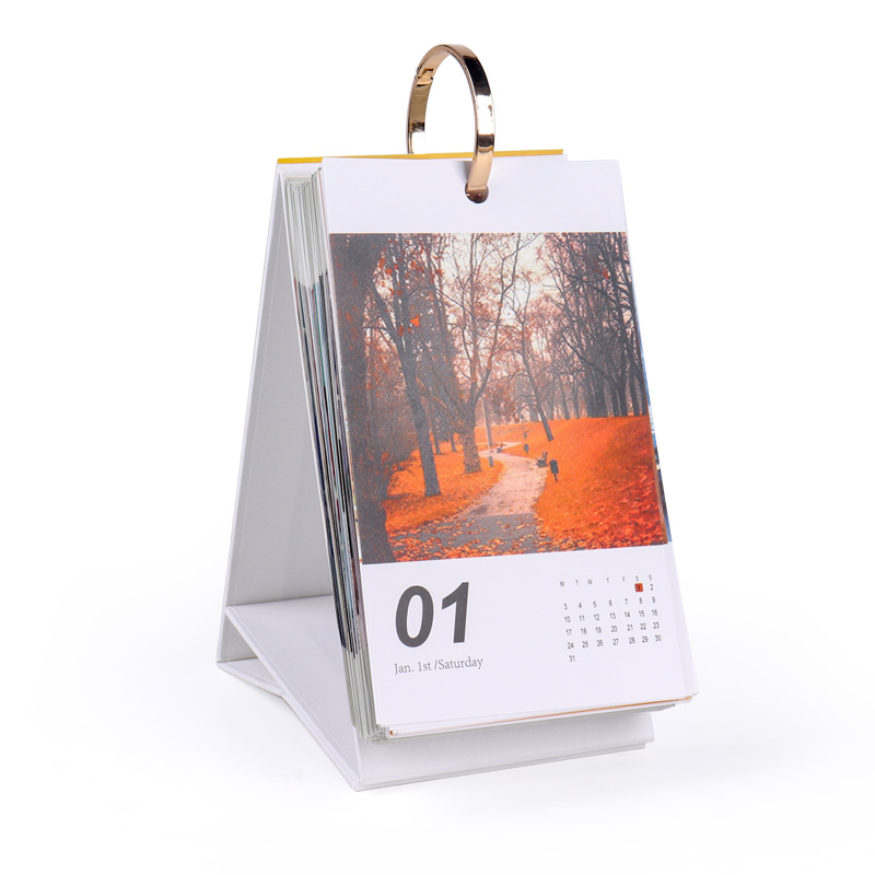 Binders 365 Days Daily Desk Calendar Printing