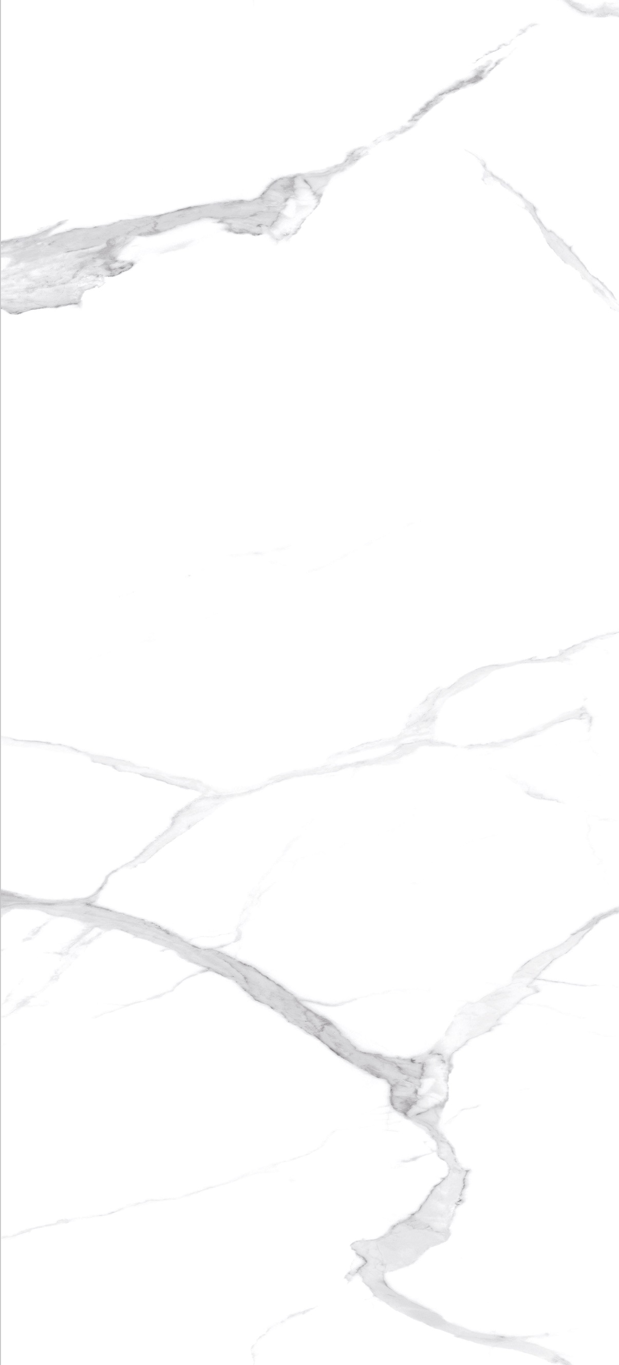 Classic Calacatta Marble Slabs
