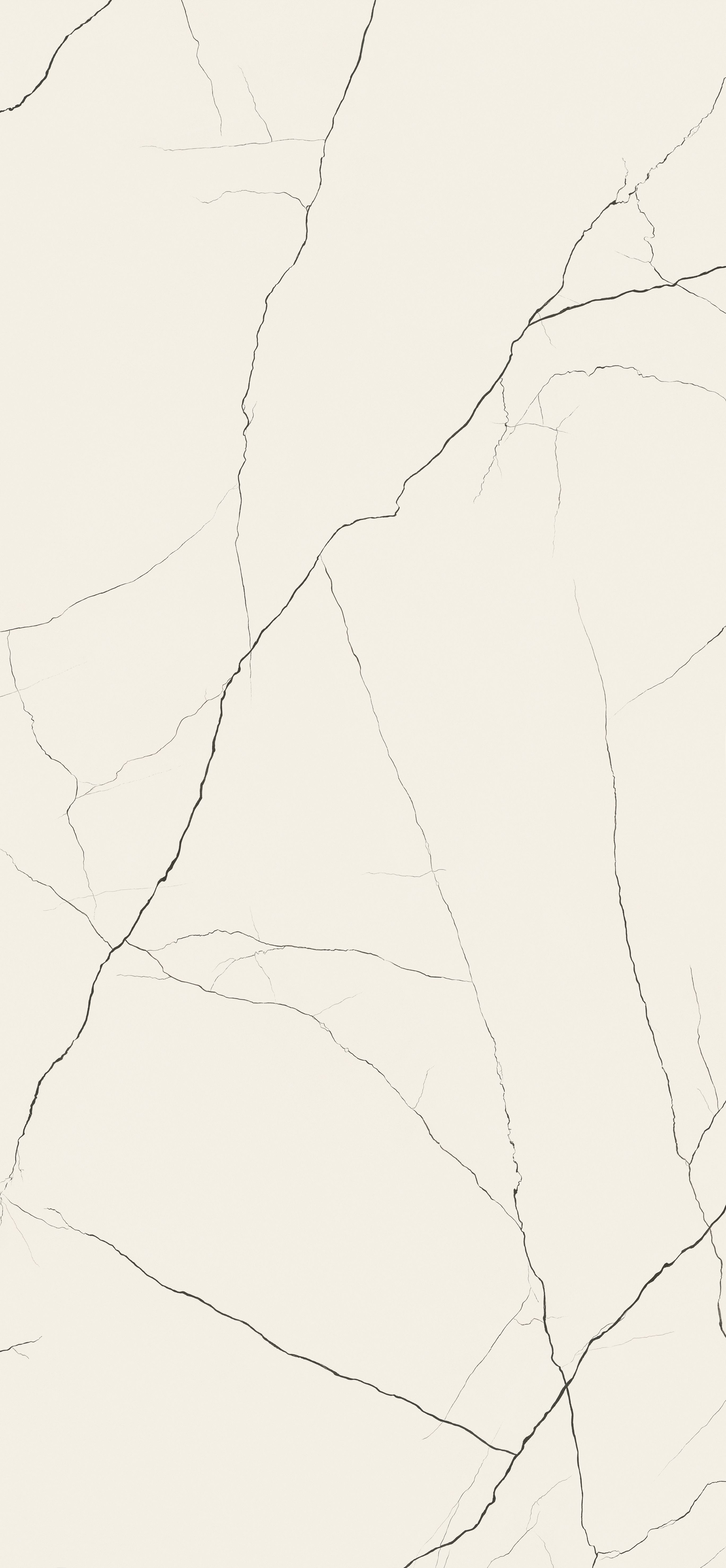 BAIKAL WHITE