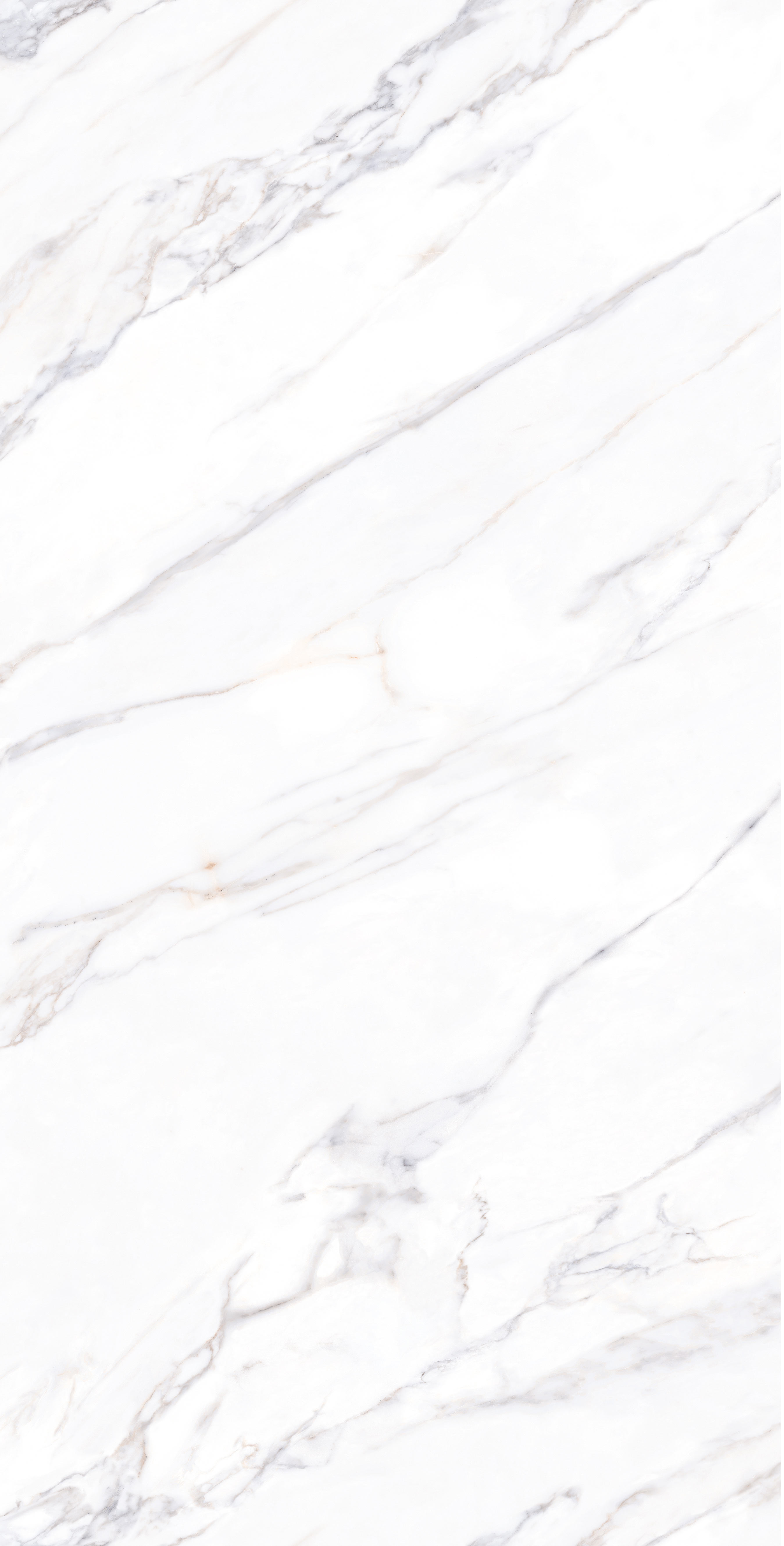 CALACATTA GOLD S