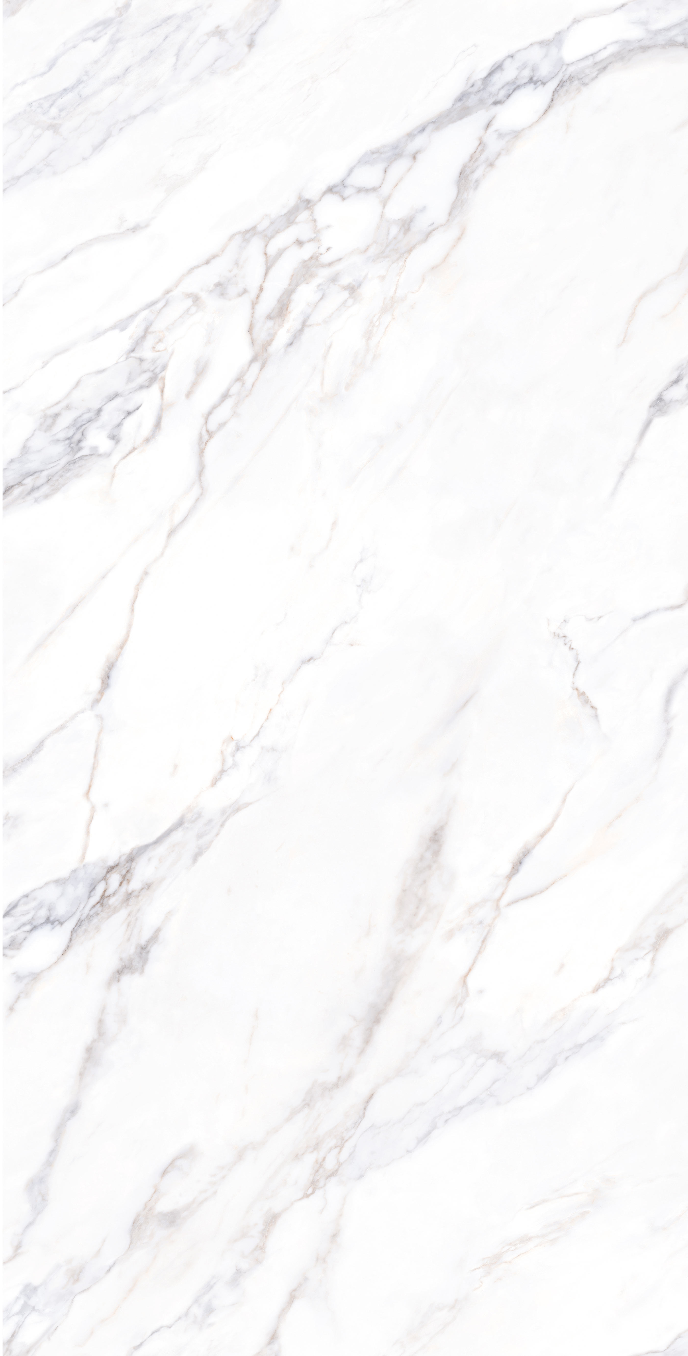 CALACATTA GOLD S
