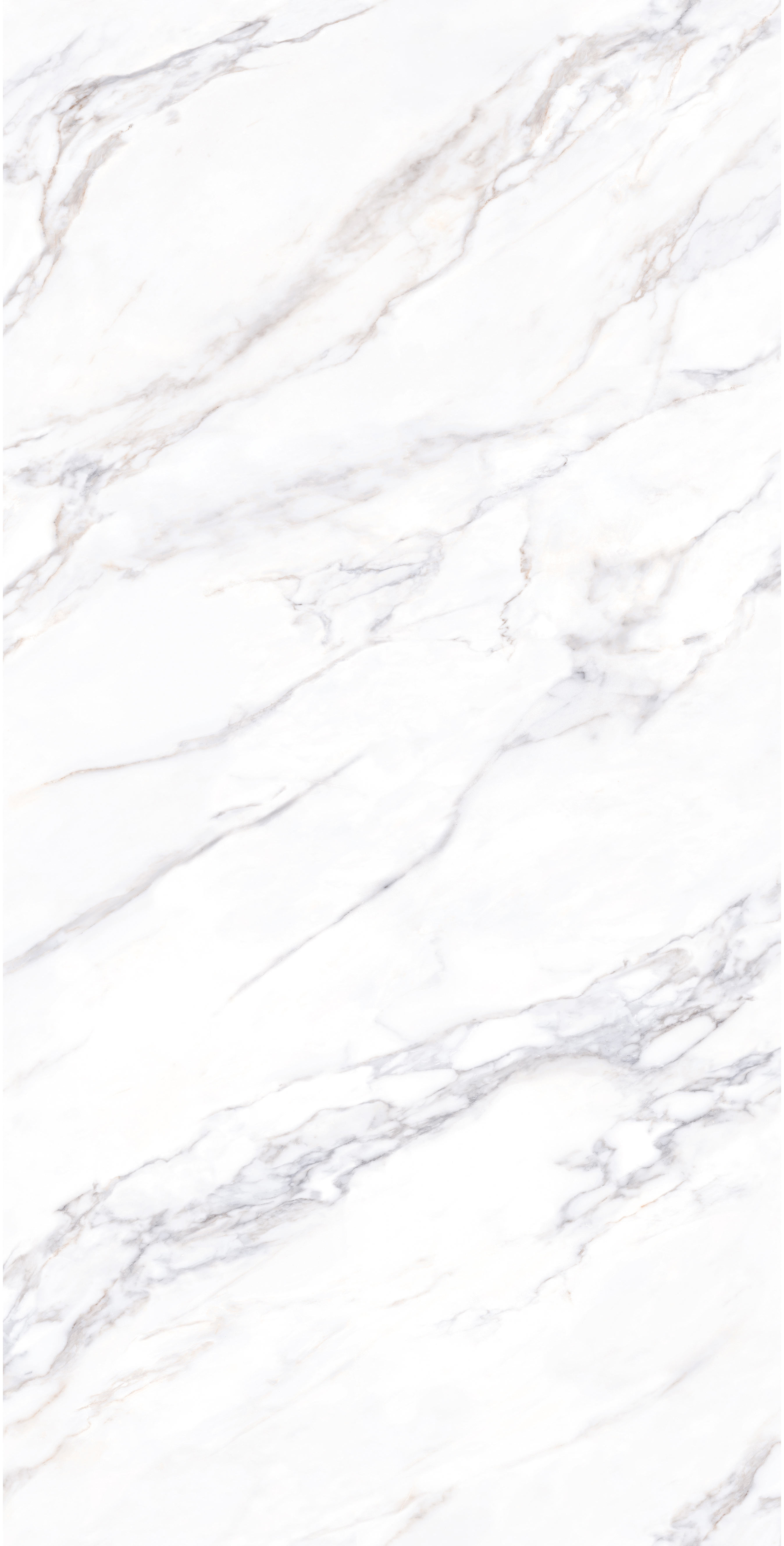 CALACATTA GOLD S