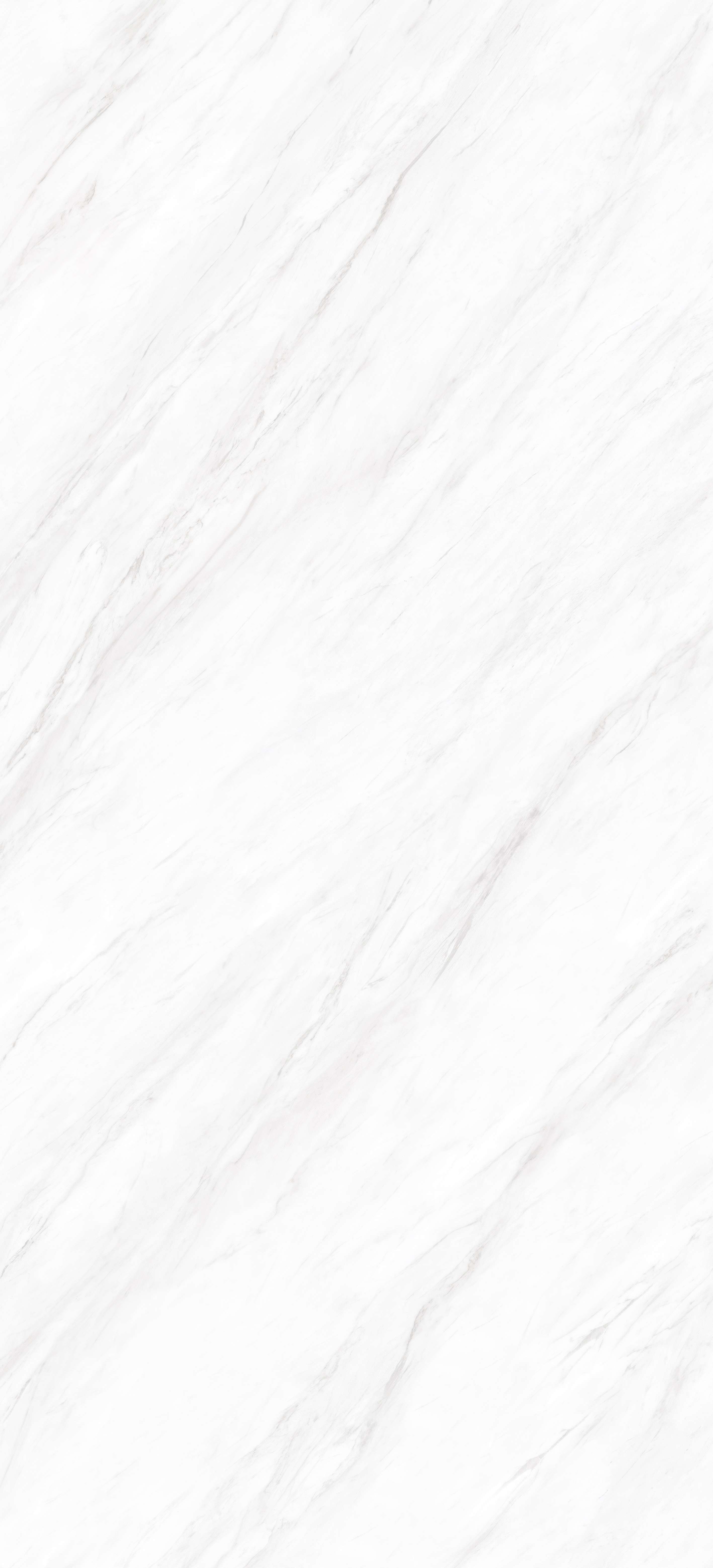 ELEGANT WHITE