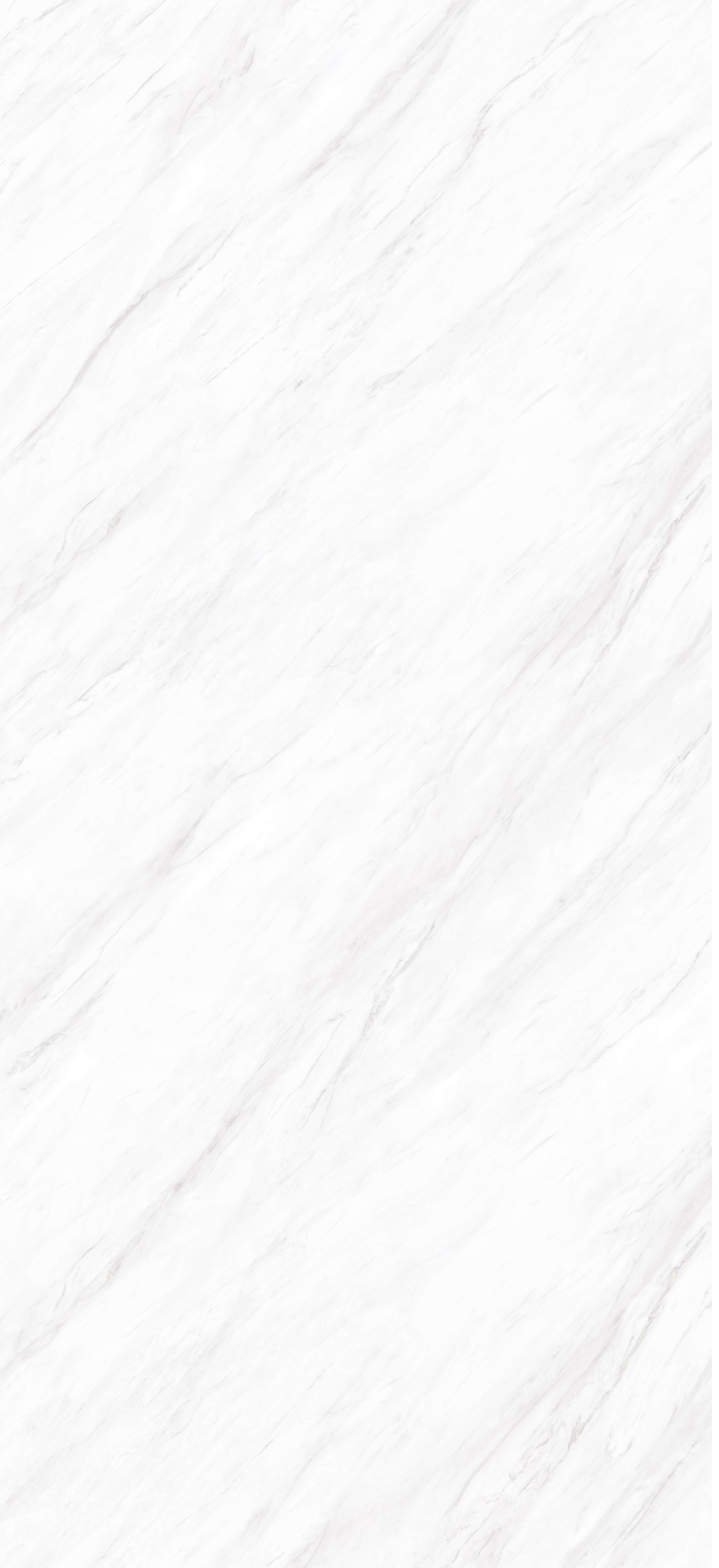 ELEGANT WHITE