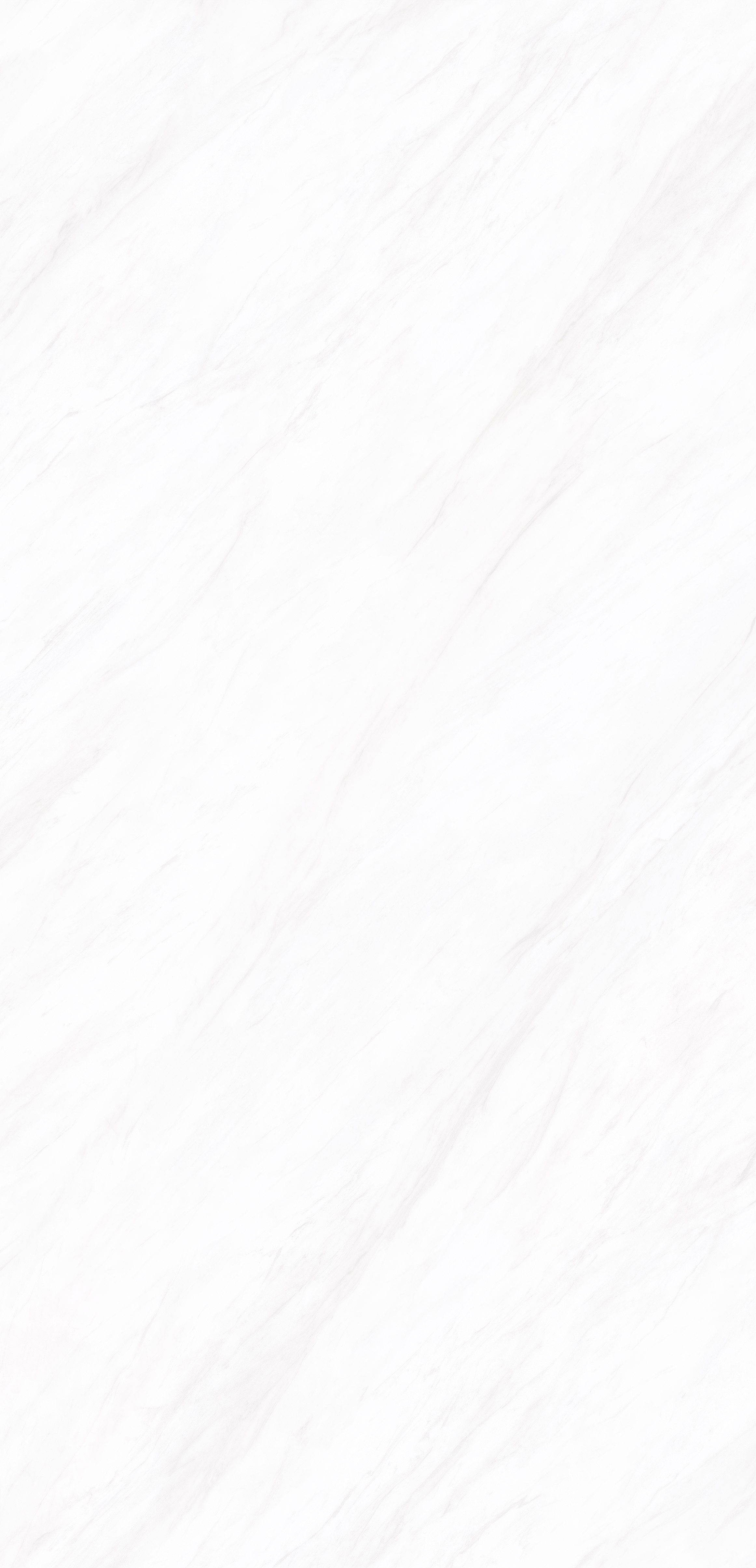ELEGANT WHITE