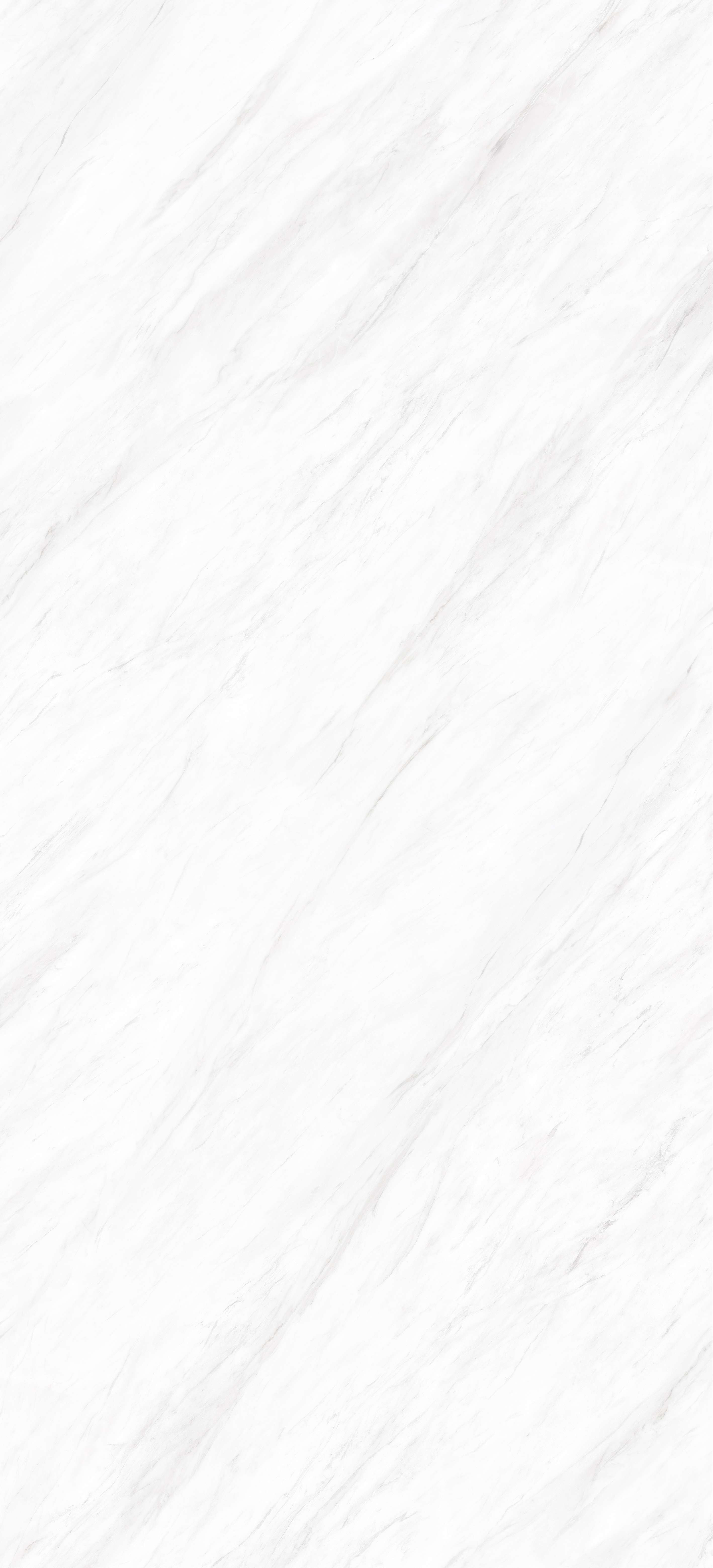ELEGANT WHITE