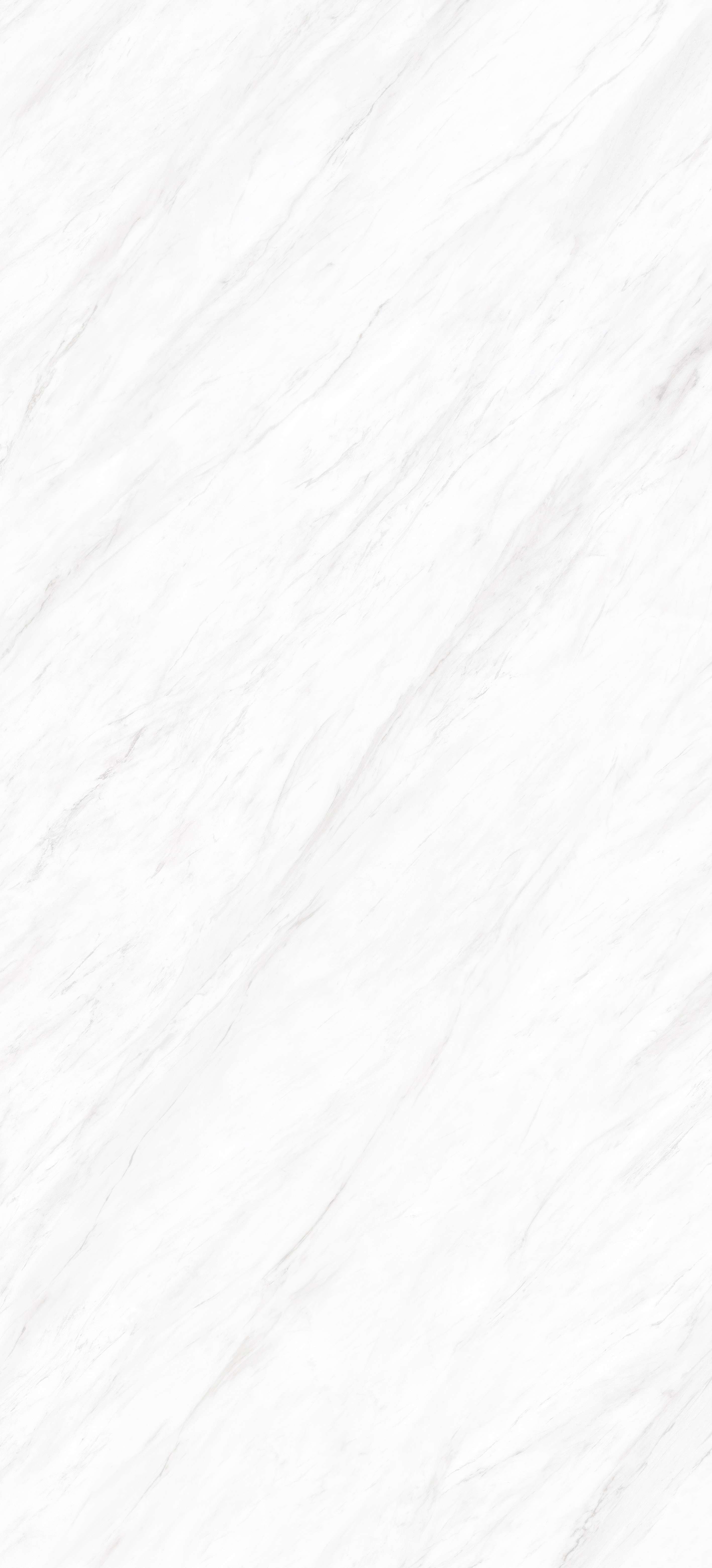 ELEGANT WHITE