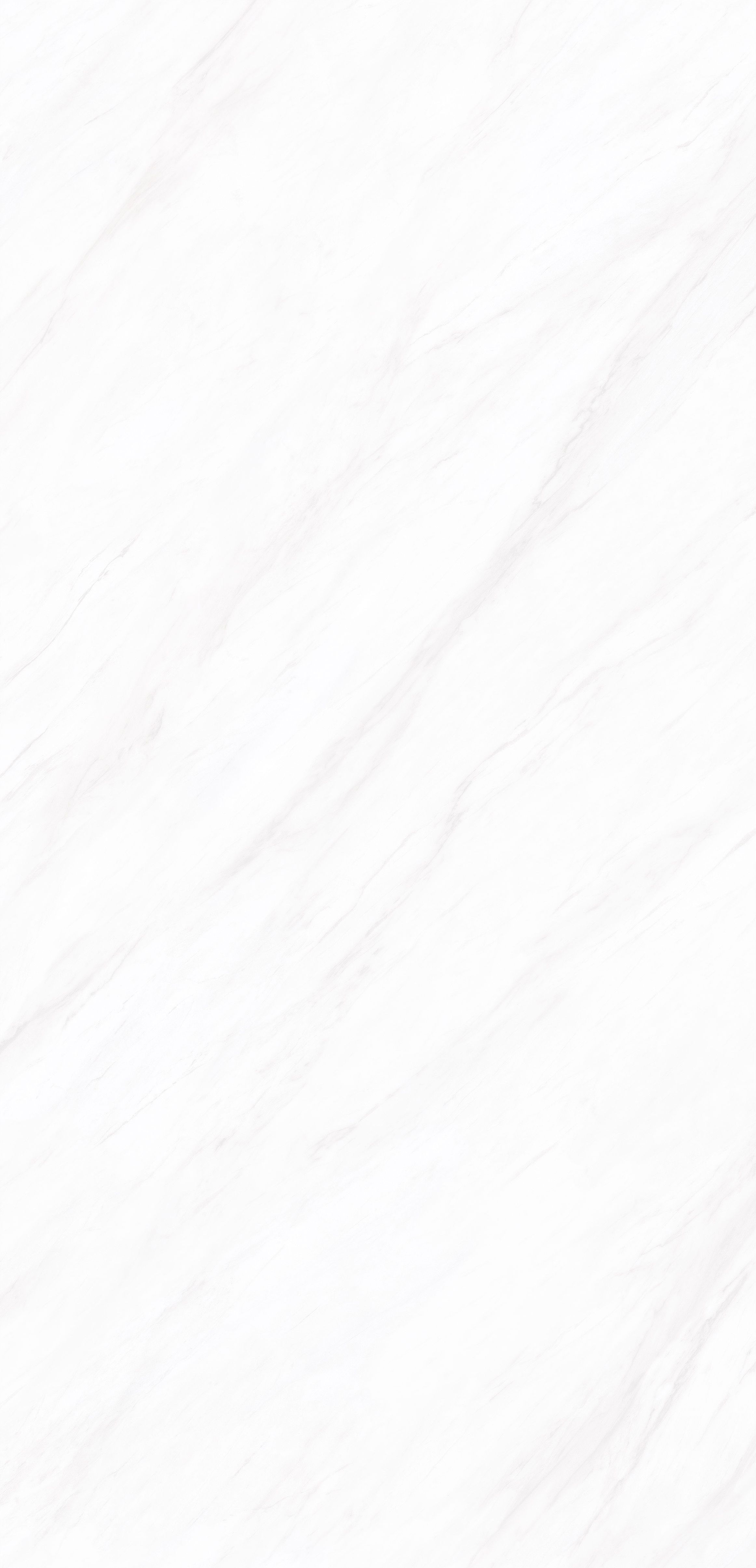 ELEGANT WHITE