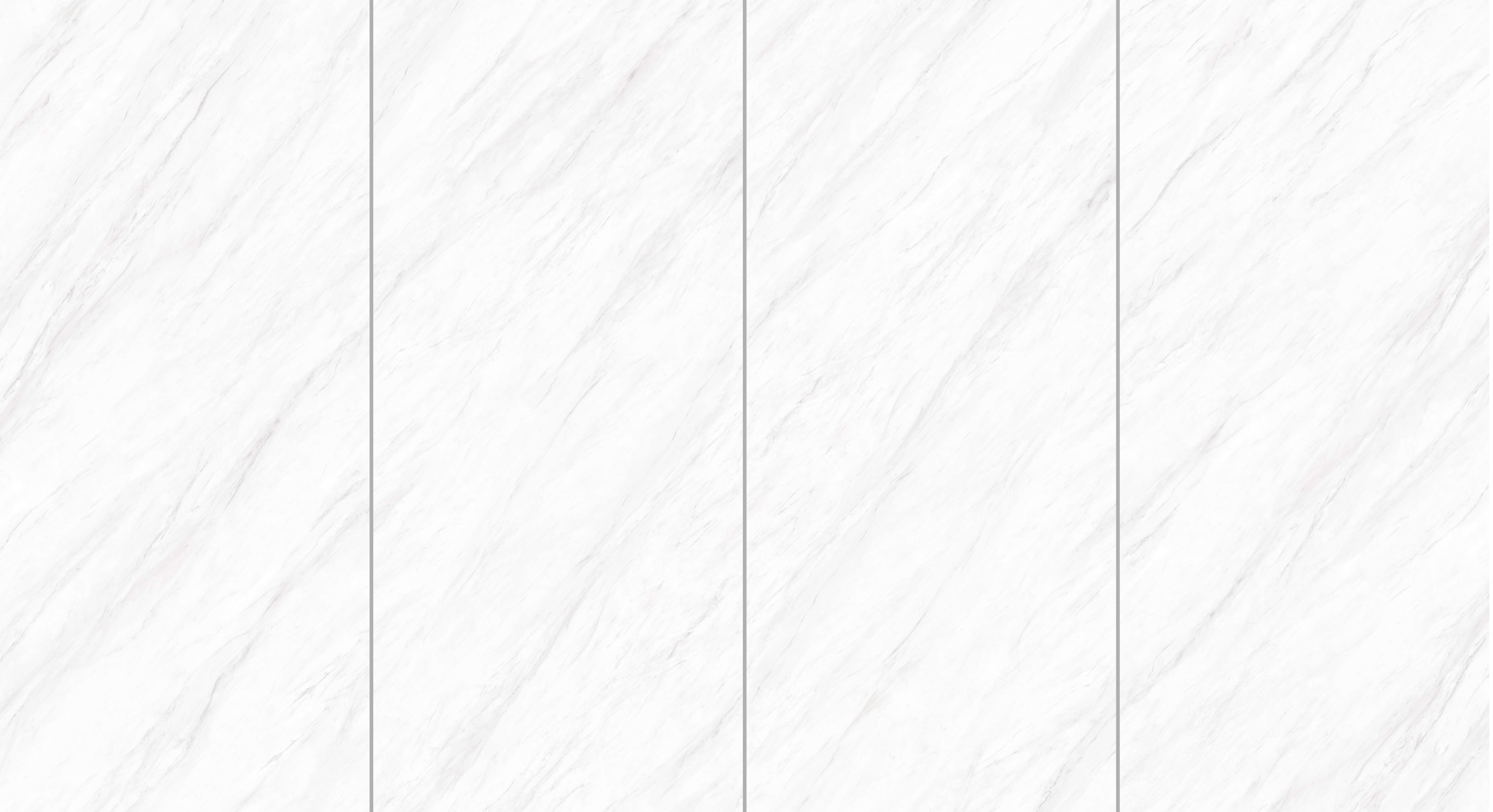 ELEGANT WHITE