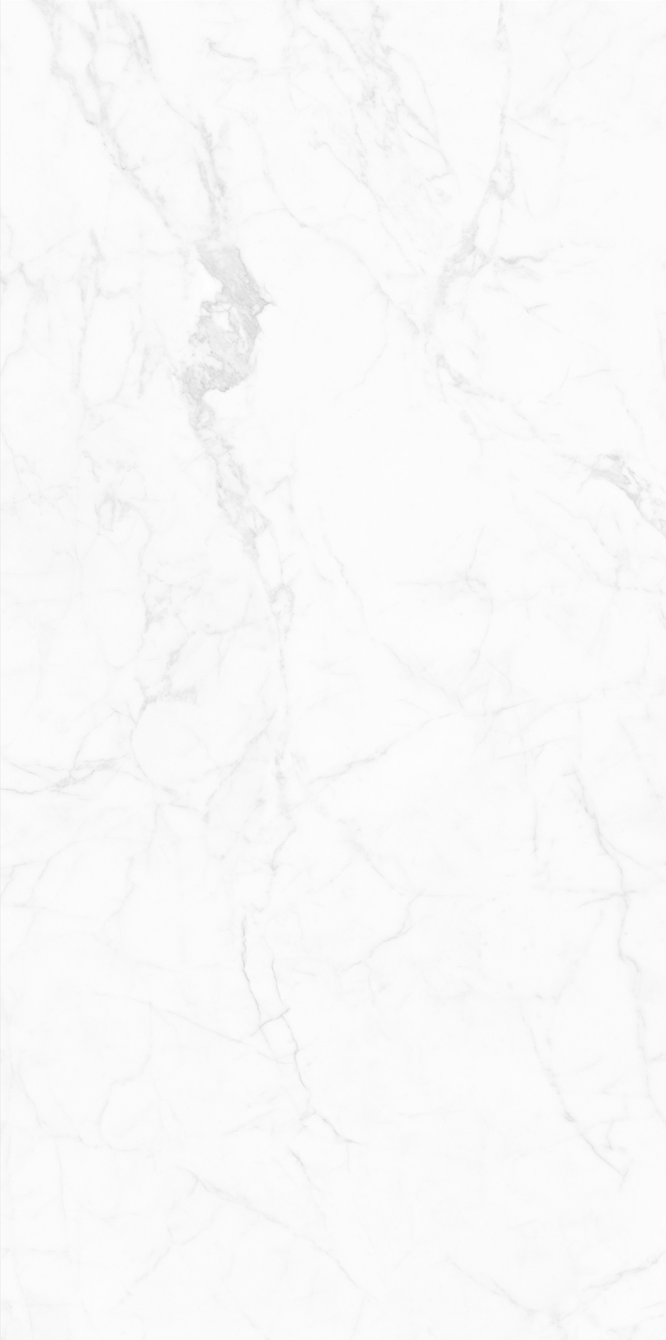 HADA WHITE