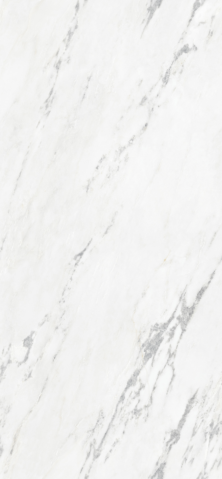Polar White