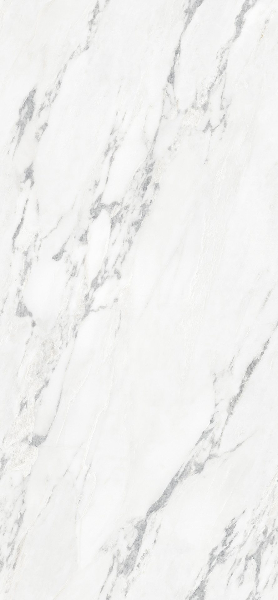 Polar White