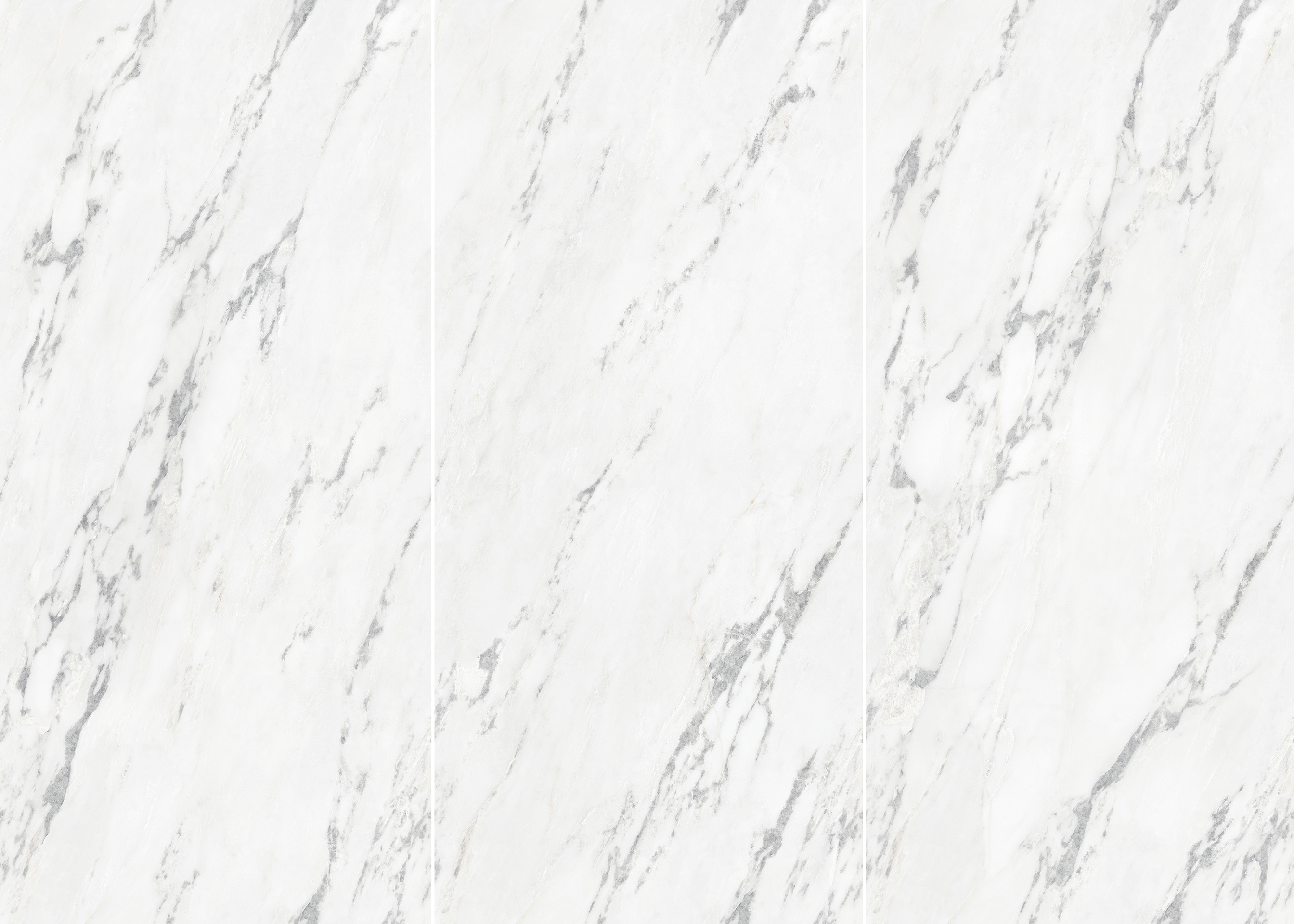 Polar White