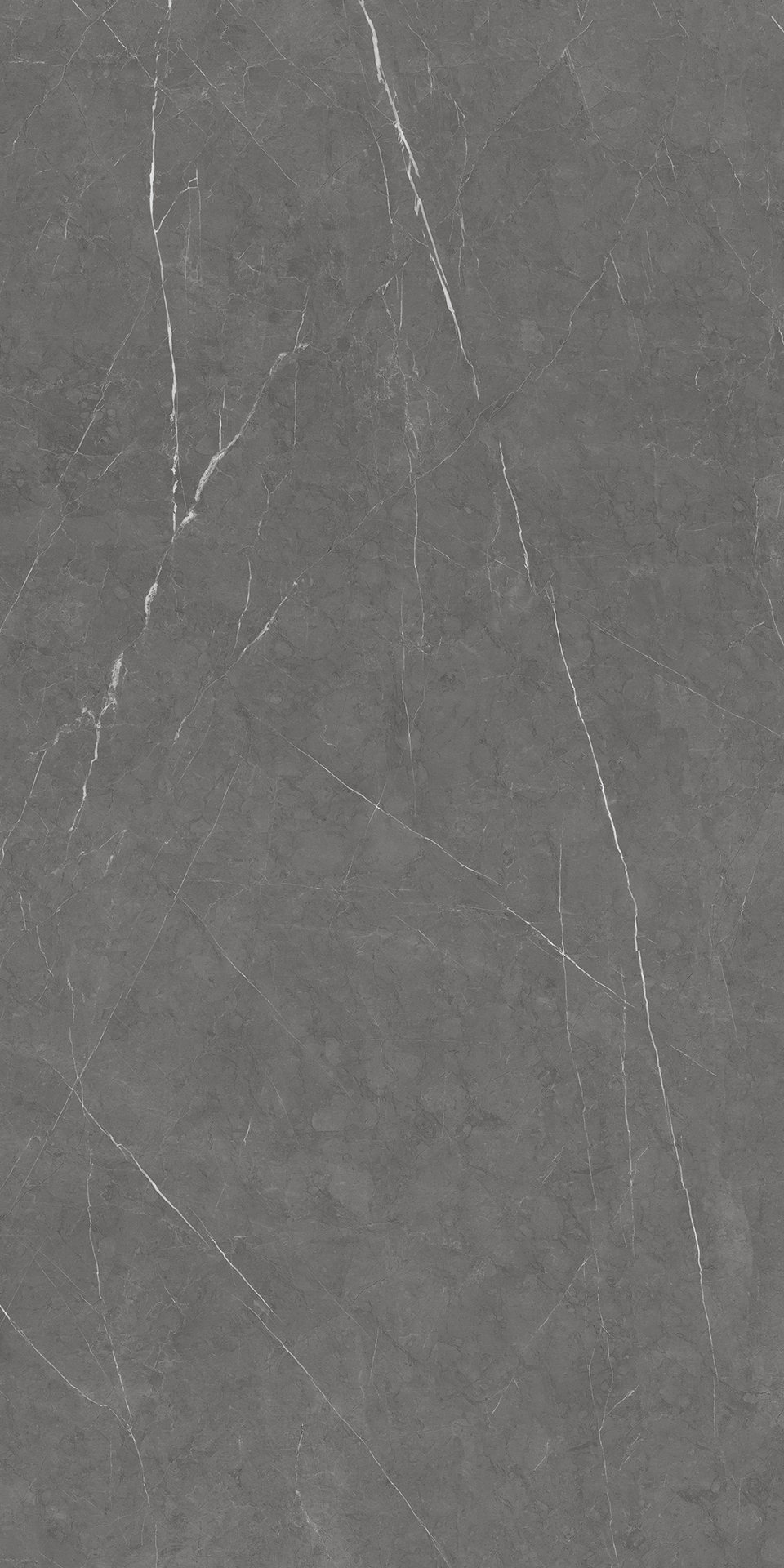 BULGARIA GREY