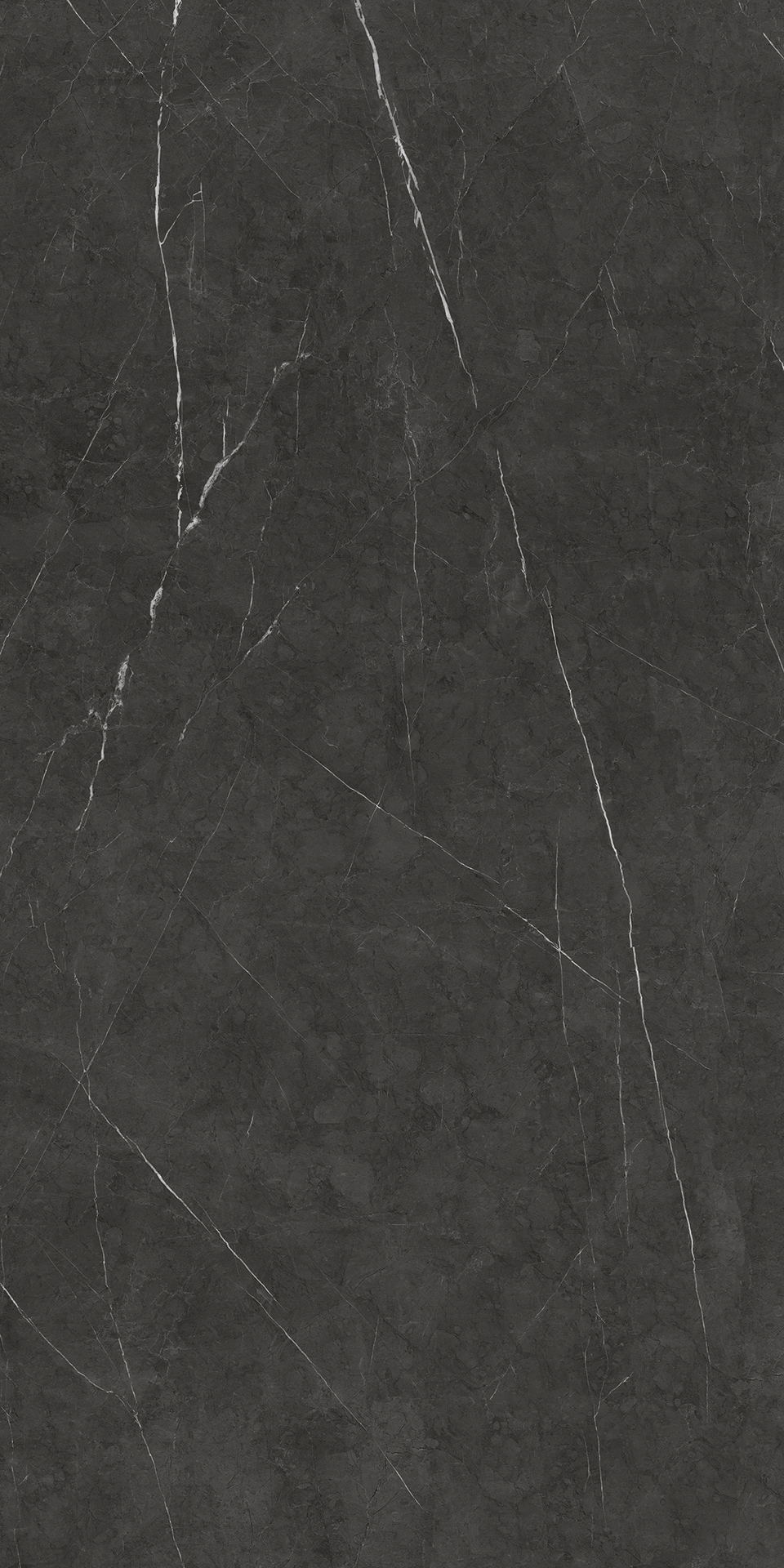BULGARIA BLACK