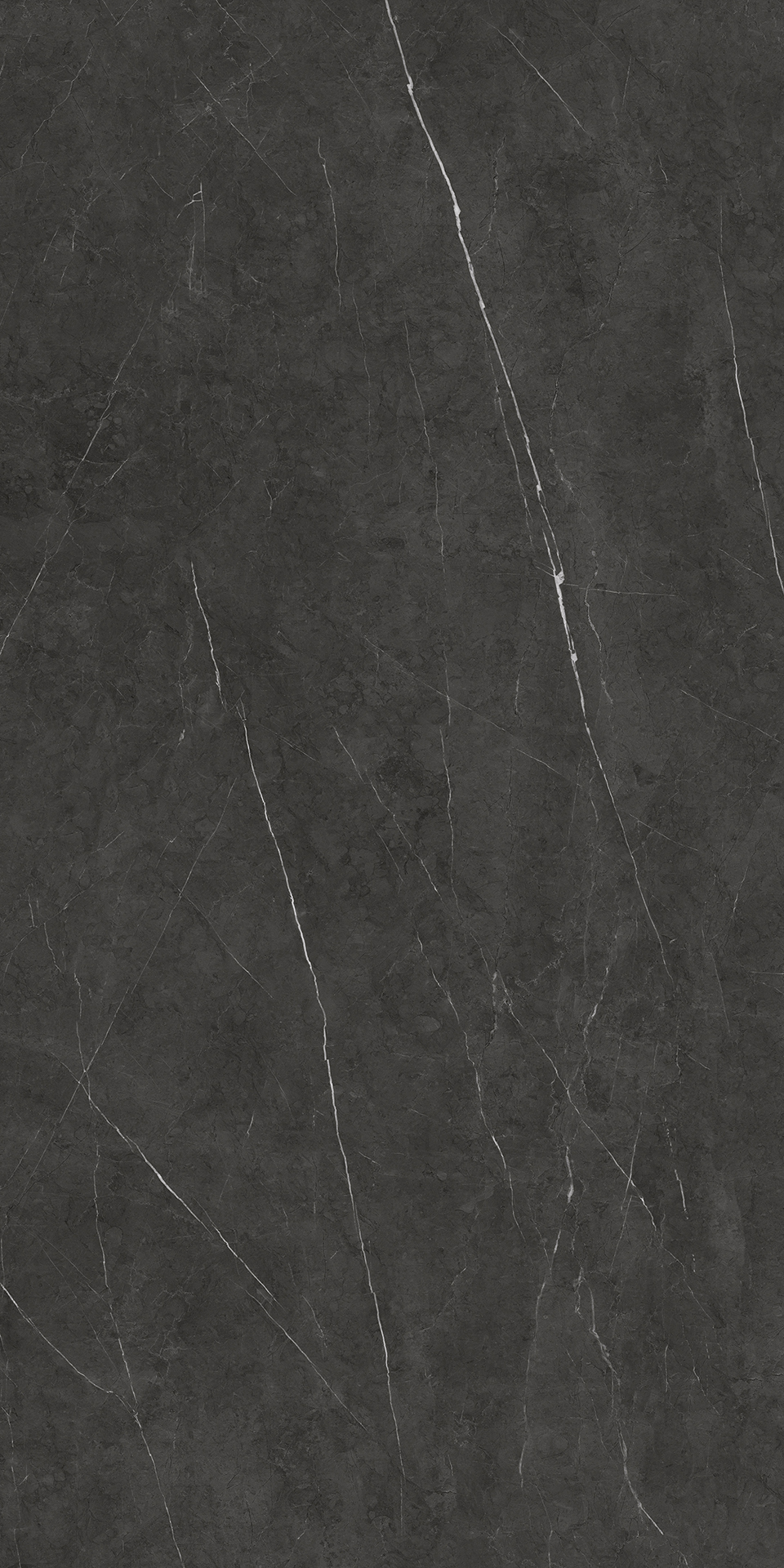 BULGARIA BLACK